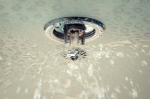Sprinkler sprinkling